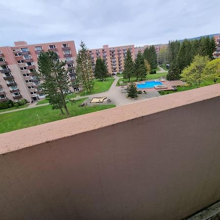 Ferienwohnung Altenau Im Harz, Hunde Eksteriør billede