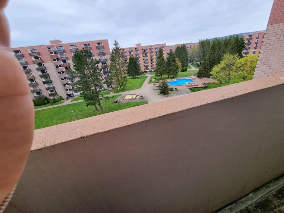 Ferienwohnung Altenau Im Harz, Hunde Eksteriør billede