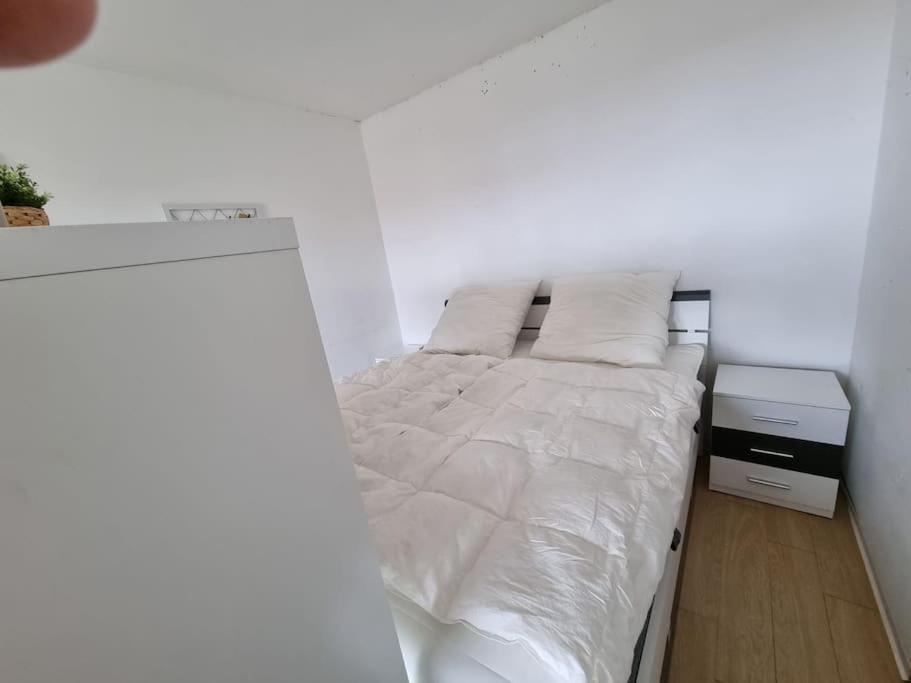 Ferienwohnung Altenau Im Harz, Hunde Eksteriør billede
